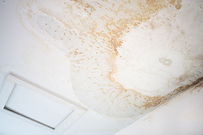 Water Stain Ceiling Edinburgh